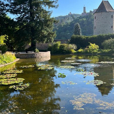 Ferienwohnung Burgenblilck Weinheim Bagian luar foto