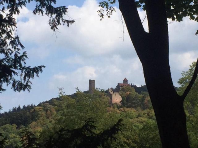 Ferienwohnung Burgenblilck Weinheim Bagian luar foto
