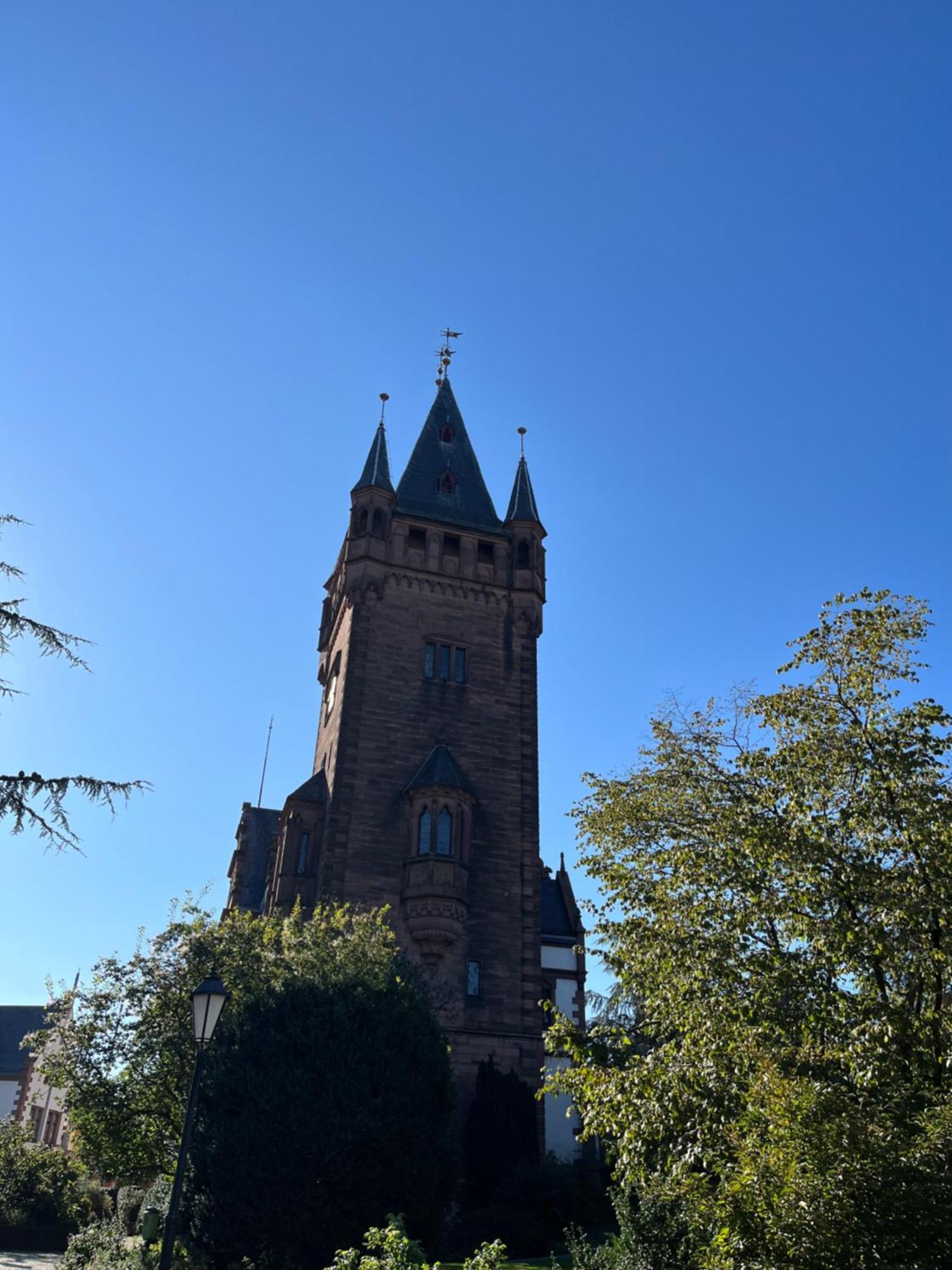 Ferienwohnung Burgenblilck Weinheim Bagian luar foto